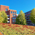 RV Holzbau, Fassadenbau, Trockenbau, Zimmererarbeiten, Altbausanierung, Bedachungen, Zimmereibetrieb in Oldenburg